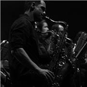 Profesor titulado da clases particulares de saxofon en Barrika